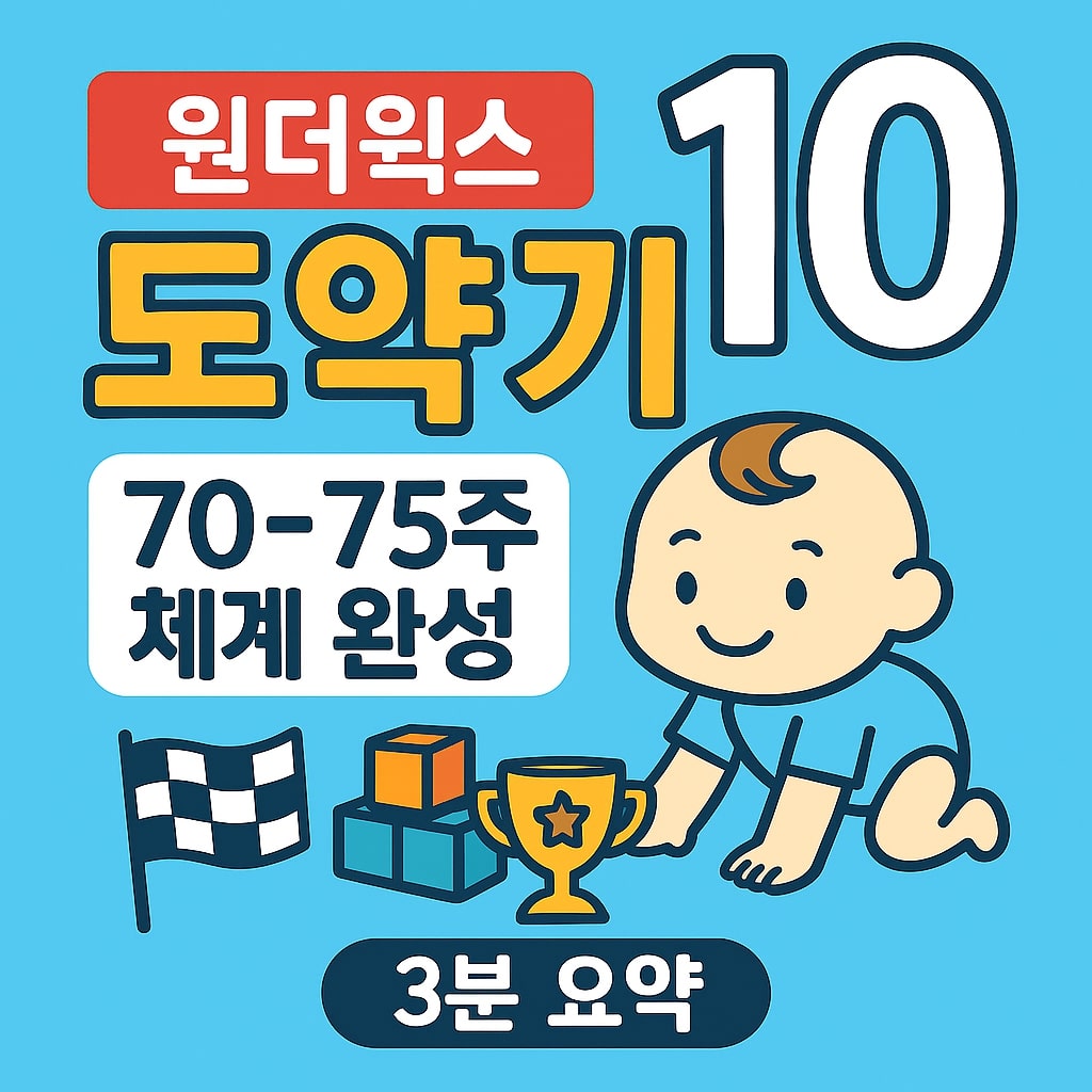 원더윅스 도약기 10 70-75주 체계 완성 - 3분 요약