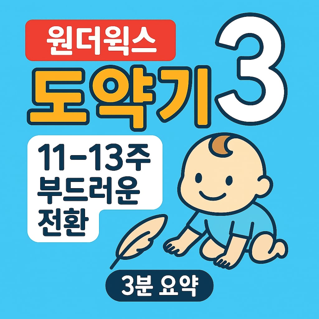 원더윅스 도약기 3 11-13주 부드러운 전환 - 3분 요약