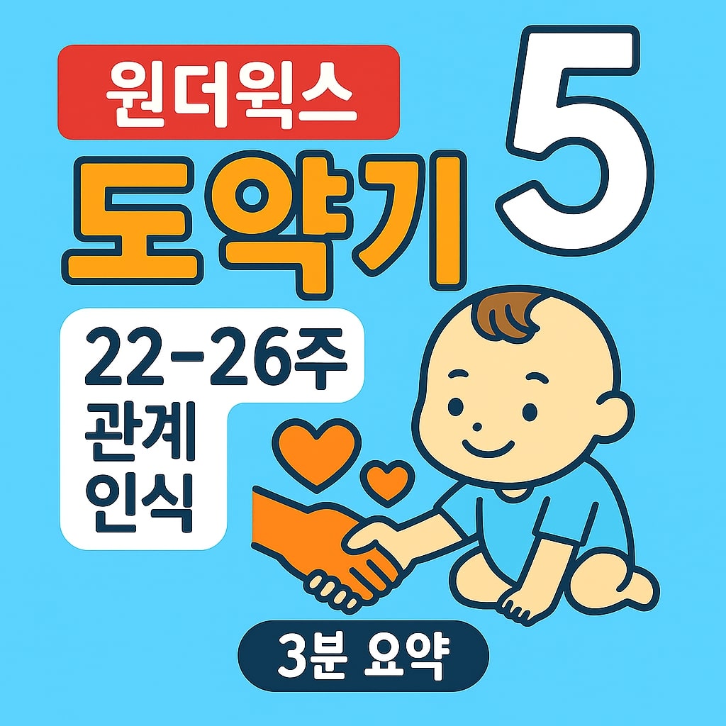 원더윅스 도약기 5 22-26주 관계, 인식 - 3분 요약