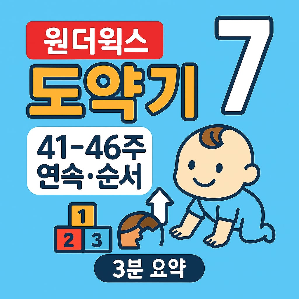 원더윅스 도약기 7 41-46주 연속, 순서 - 3분 요약