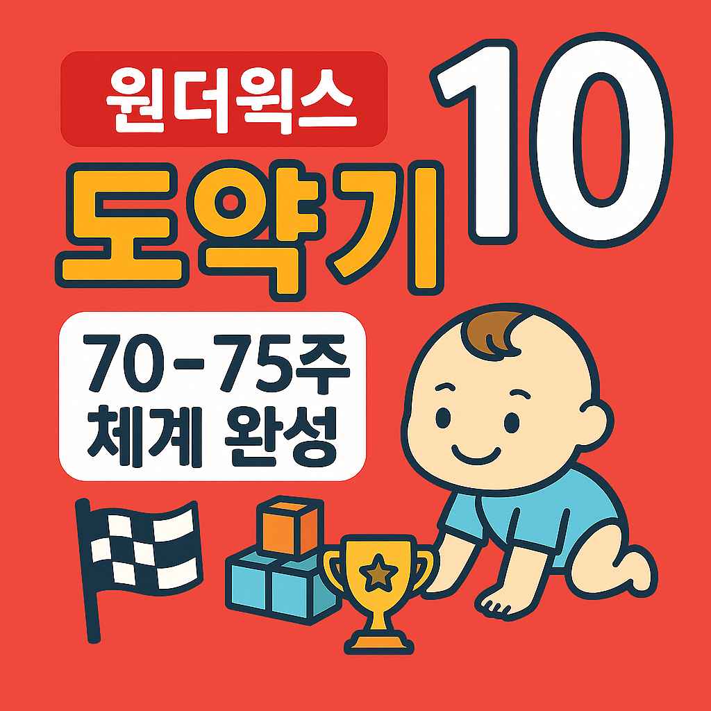 원더윅스 도약기 10 70-75주 체계 완성