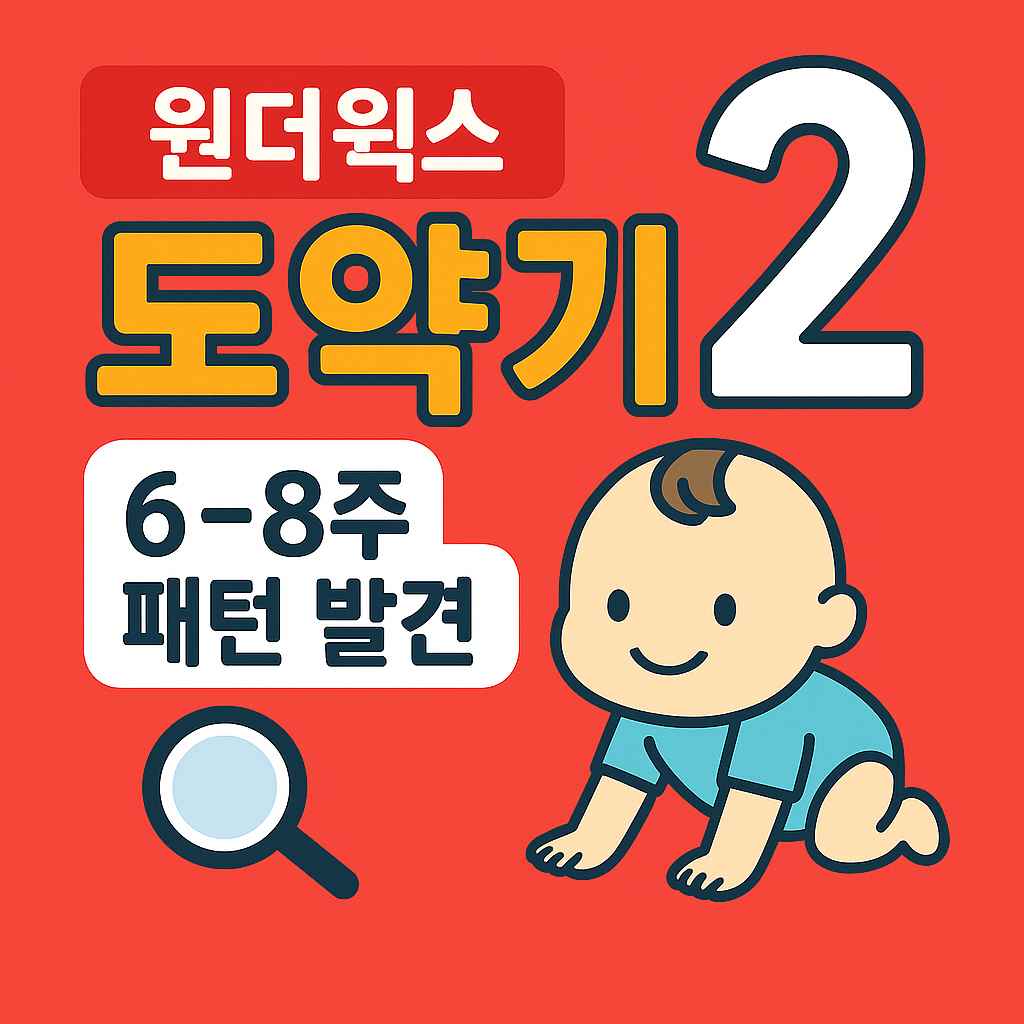 원더윅스 도약기 2 6-8주 패턴 발견