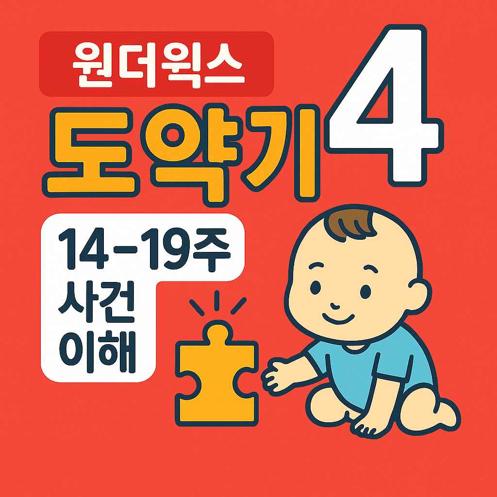원더윅스 도약기 4 14-19주 사건 이해