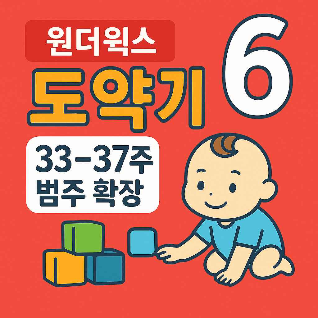 원더윅스 도약기 6 33-37주 범주 확장