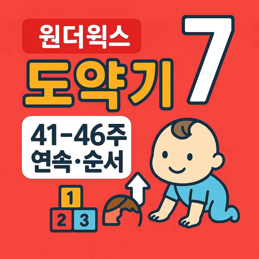 원더윅스 도약기 7 41-46주 연속, 순서